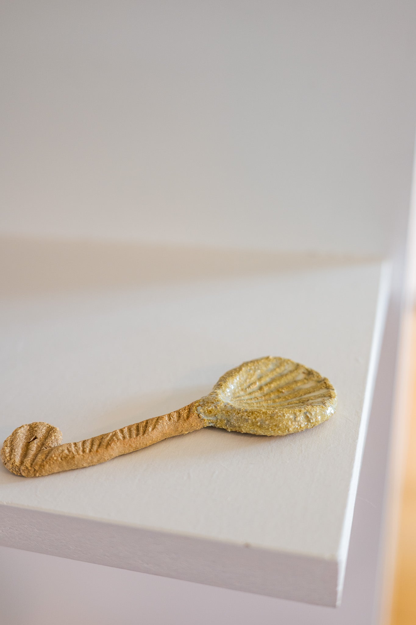 Shell spoon